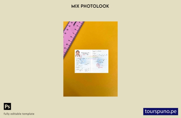 Plantilla de aspecto fotográfico de versión de permiso de trabajo de Vietnam lis